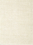 McKenna Tussah P. Kaufmann Fabric 